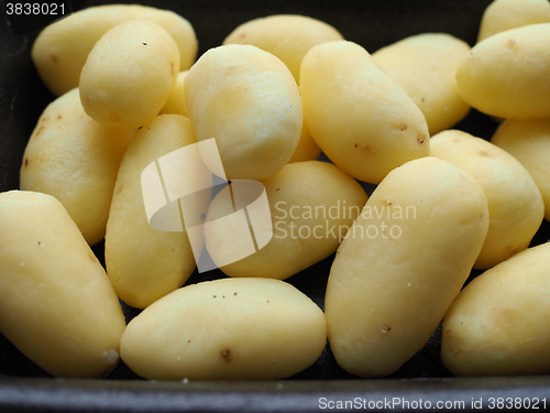 Image of Potato vegetables in a tub