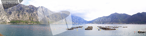 Image of Aquafarming Montenegro