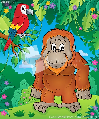 Image of Orangutan theme image 2