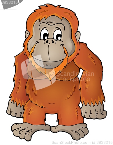 Image of Orangutan theme image 1