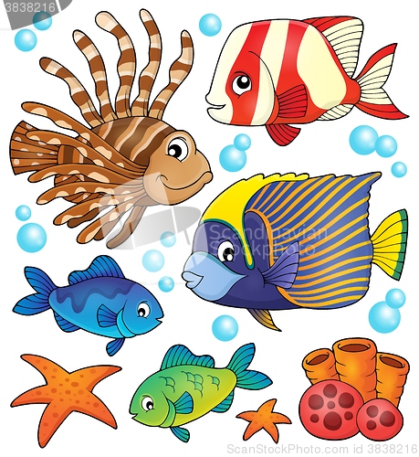 Image of Coral reef fish theme collection 1