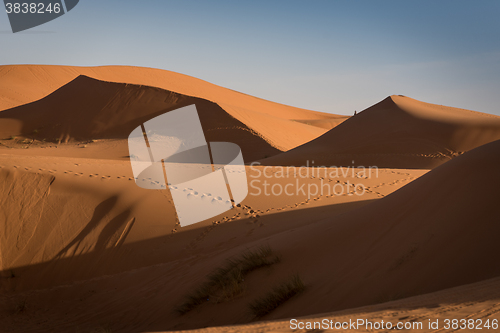 Image of Dunes, Morocco, Sahara Desert