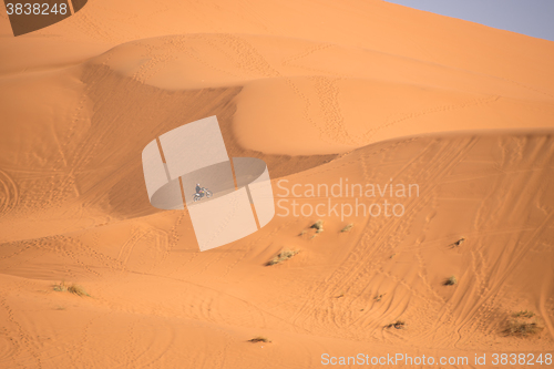 Image of Dunes, Morocco, Sahara Desert