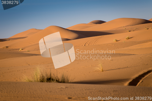 Image of Dunes, Morocco, Sahara Desert