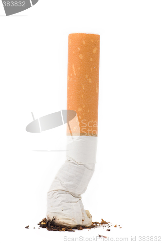 Image of a cigarette butt