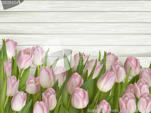 Image of Tulips on wooden background. EPS 10