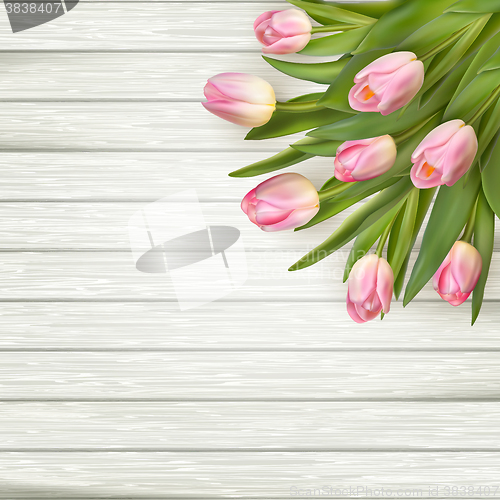 Image of Pink tulips over white wood. EPS 10