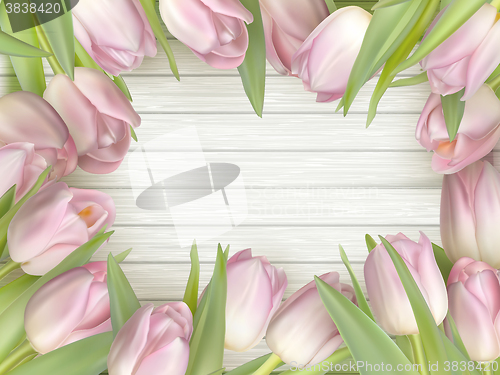 Image of Color tulips on wooden background. EPS 10