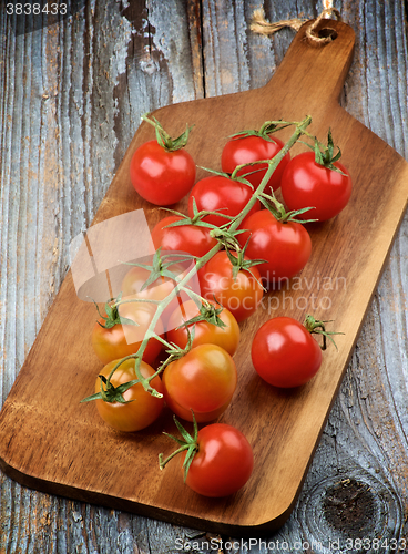 Image of Branch of Cherry Tomatoes