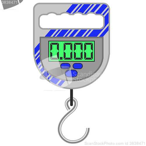 Image of Digital Portable Weighing Scale