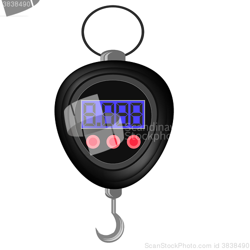 Image of Digital Portable Weighing Scale