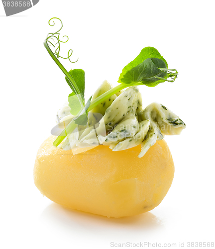 Image of boiled potato decorated with dill and garlic butter