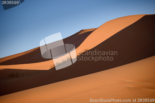 Image of Dunes, Morocco, Sahara Desert