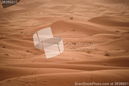 Image of Dunes, Morocco, Sahara Desert