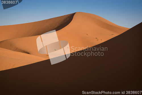 Image of Dunes, Morocco, Sahara Desert