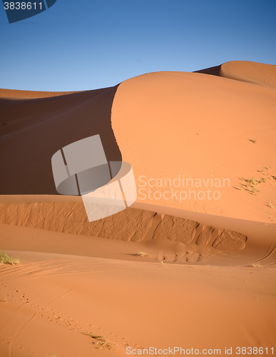 Image of Dunes, Morocco, Sahara Desert