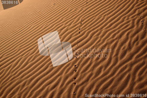 Image of Dunes, Morocco, Sahara Desert