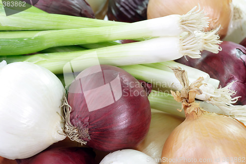 Image of Background of onions