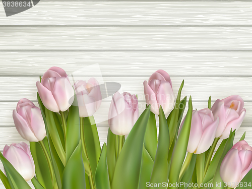 Image of Pink tulips over white wood. EPS 10