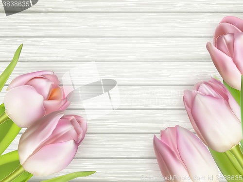 Image of Pink tulips over white wood. EPS 10 