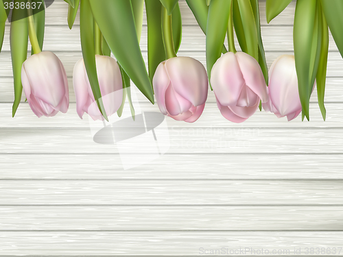 Image of Pink flowers tulips on the light wooden. EPS 10