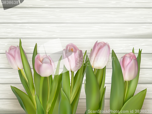 Image of Pink tulips over white wood table. EPS 10