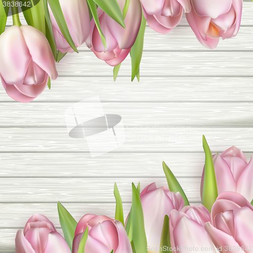 Image of Beautiful tulips. EPS 10