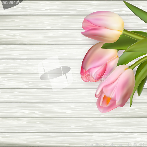 Image of Pink tulips on wooden background. EPS 10