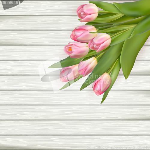 Image of Pink tulips over white wood. EPS 10 