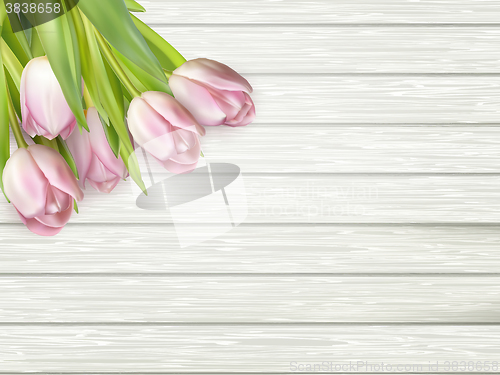 Image of Bunch of fresh spring pink. EPS 10