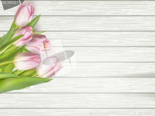 Image of Beautiful pink tulips on wooden background. EPS 10 
