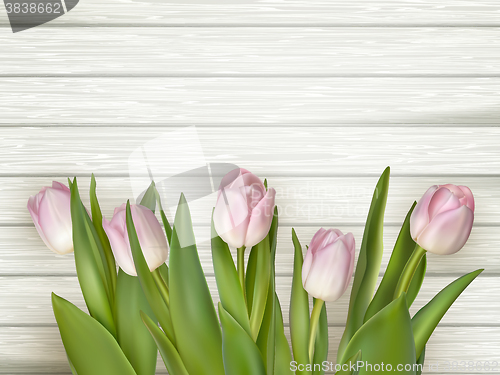 Image of Pink tulips over white wood table. EPS 10