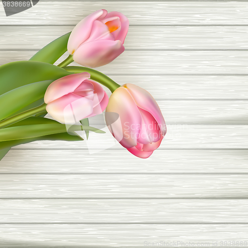 Image of Pink tulips on white wooden background. EPS 10