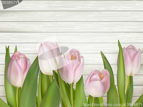 Image of Pink tulips over white wood table. EPS 10