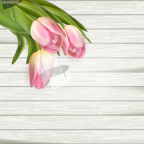 Image of Pink tulips over white wood. EPS 10