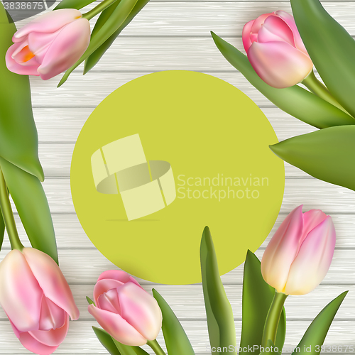 Image of Tulips with frame. EPS 10 