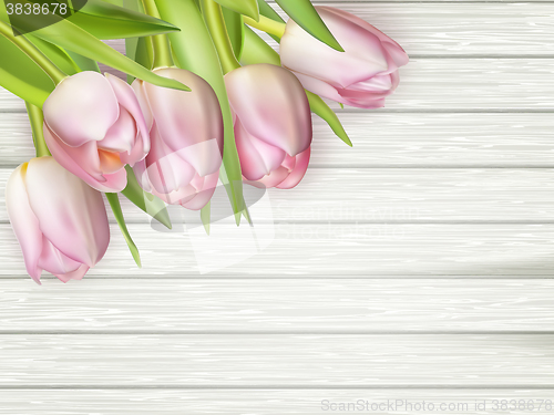 Image of Pink tulips on white wooden background. EPS 10
