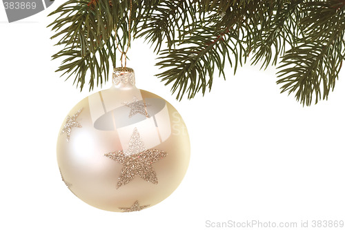 Image of Festive