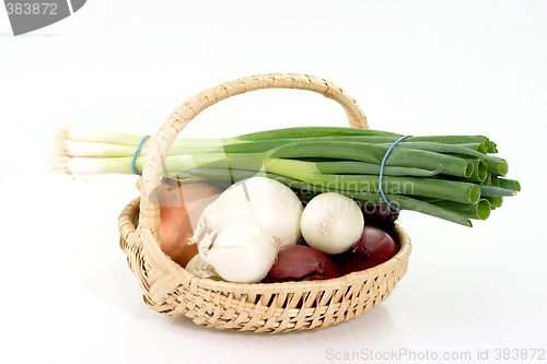 Image of Four sorts of onions