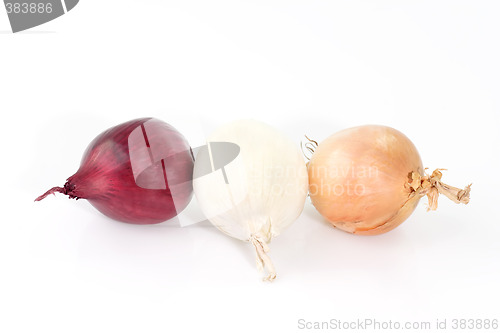 Image of Three onions