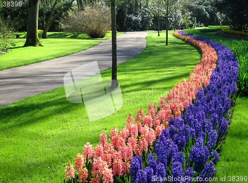 Image of park in springtime