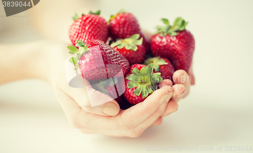 Image of close up of woman hands holding strawberries