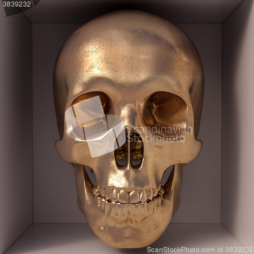 Image of Golden skull