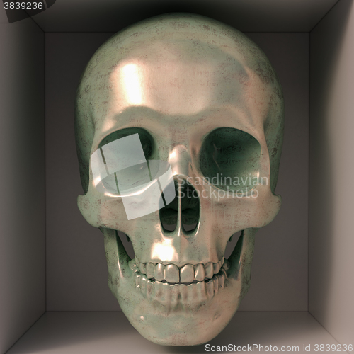 Image of Metallic skull