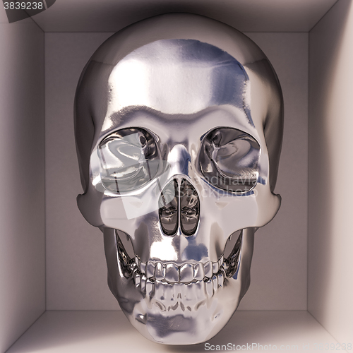 Image of Metallic skull