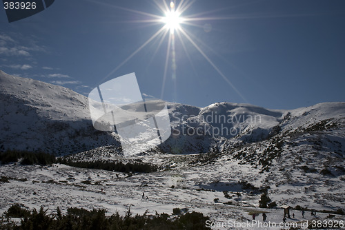 Image of Winter!