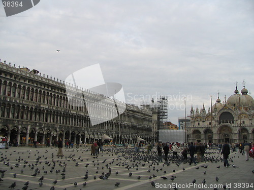 Image of Piazza San Marco Venice, Italy