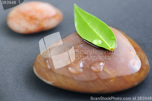 Image of Zen stones