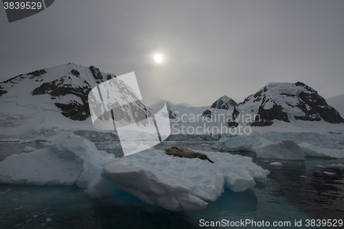 Image of Mountain view in Antarctica