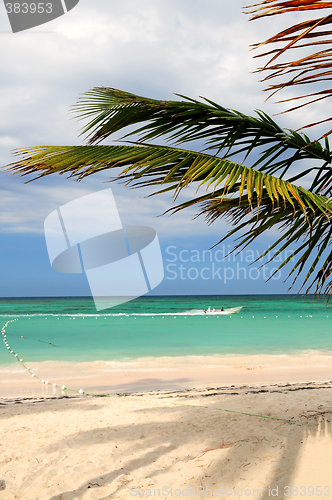 Image of Tropical beach